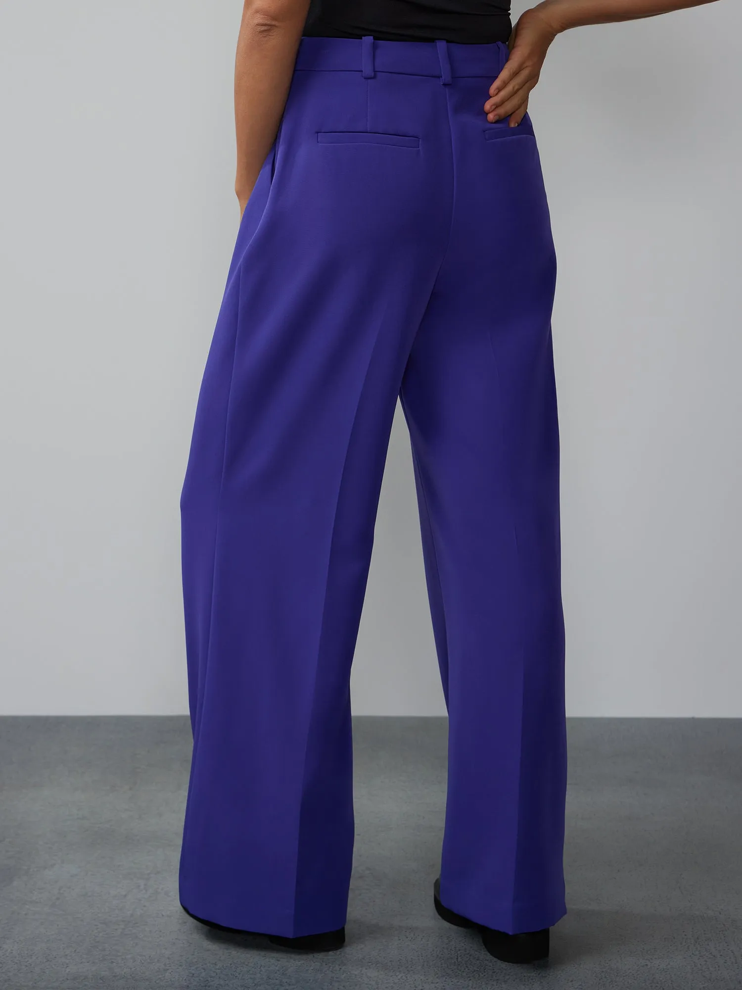 High Rise Wide Leg Seamed Pant