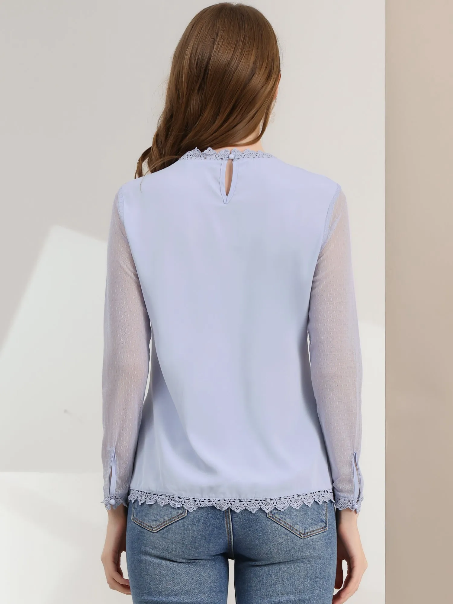 Lace Mesh Long Sleeve Round Neck Casual Elegant Blouse