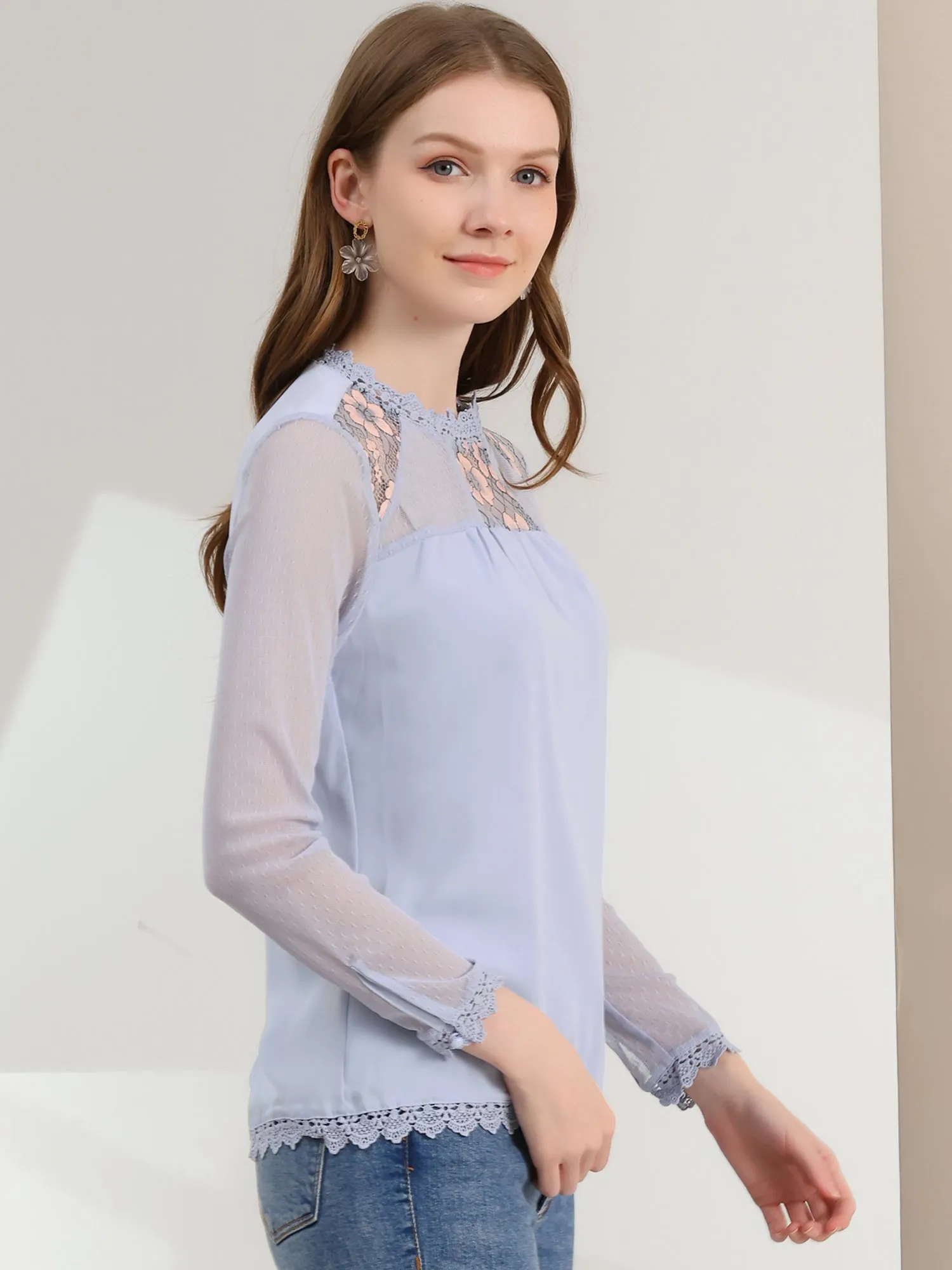 Lace Mesh Long Sleeve Round Neck Casual Elegant Blouse