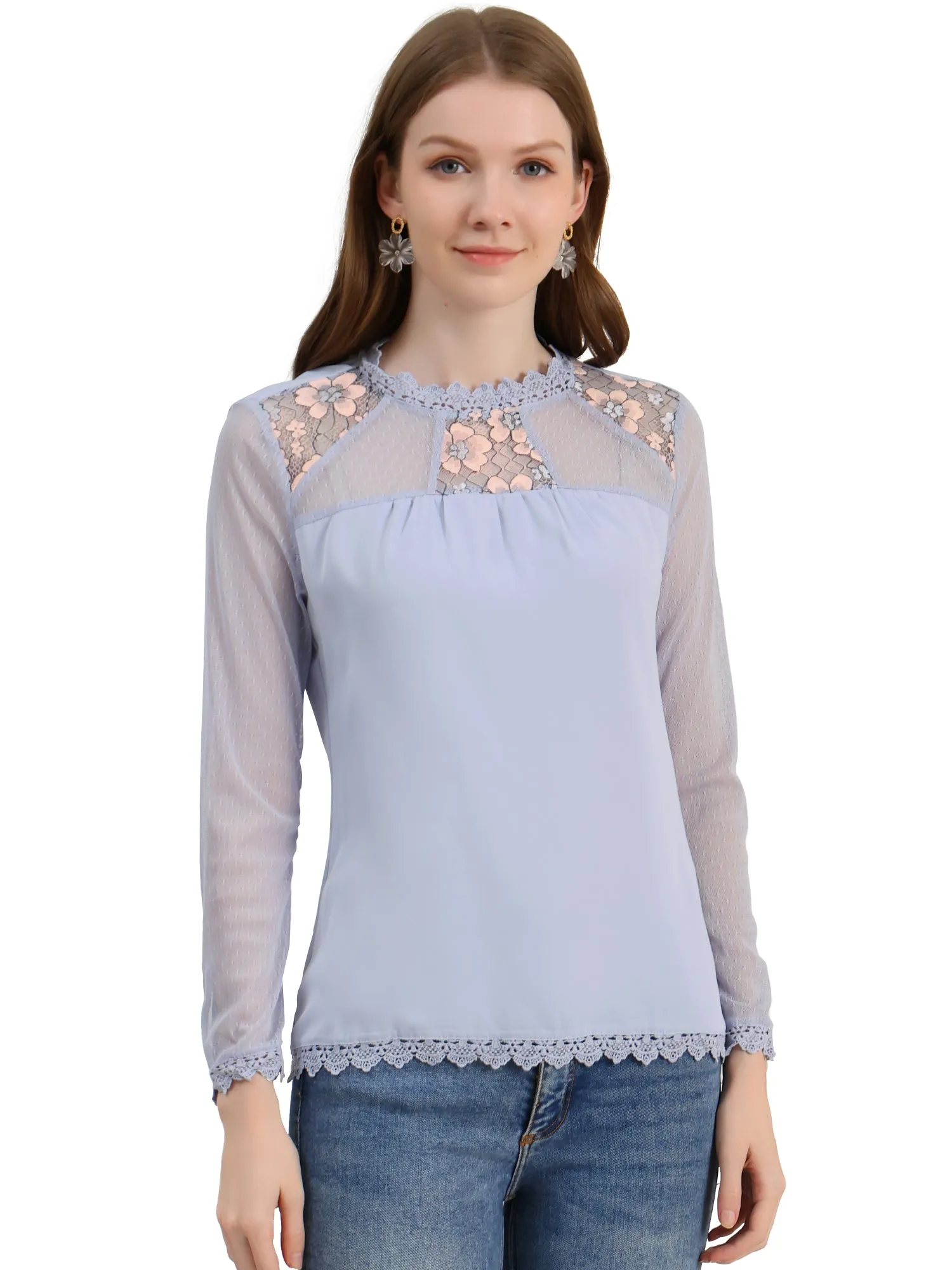 Lace Mesh Long Sleeve Round Neck Casual Elegant Blouse