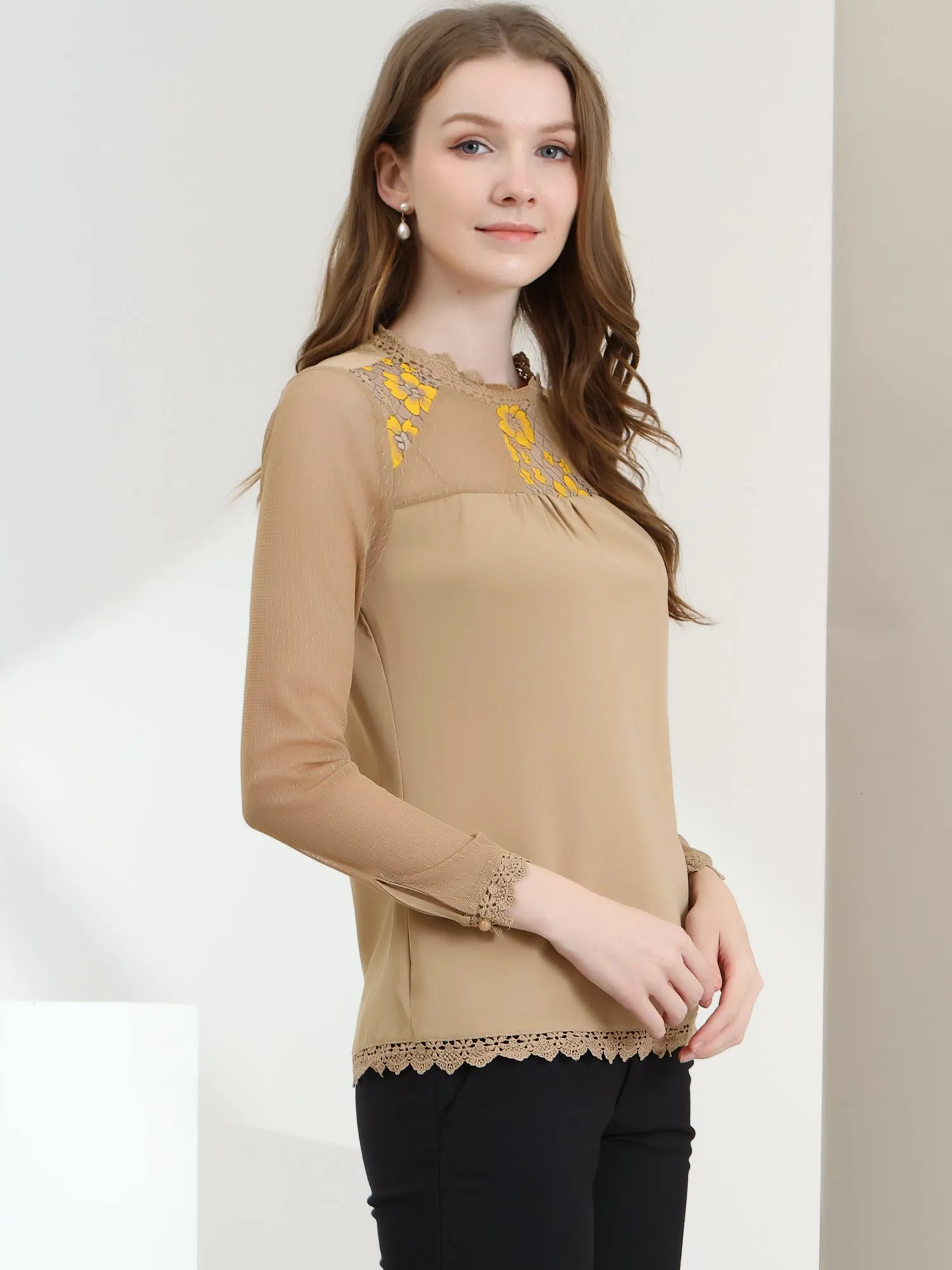 Lace Mesh Long Sleeve Round Neck Casual Elegant Blouse