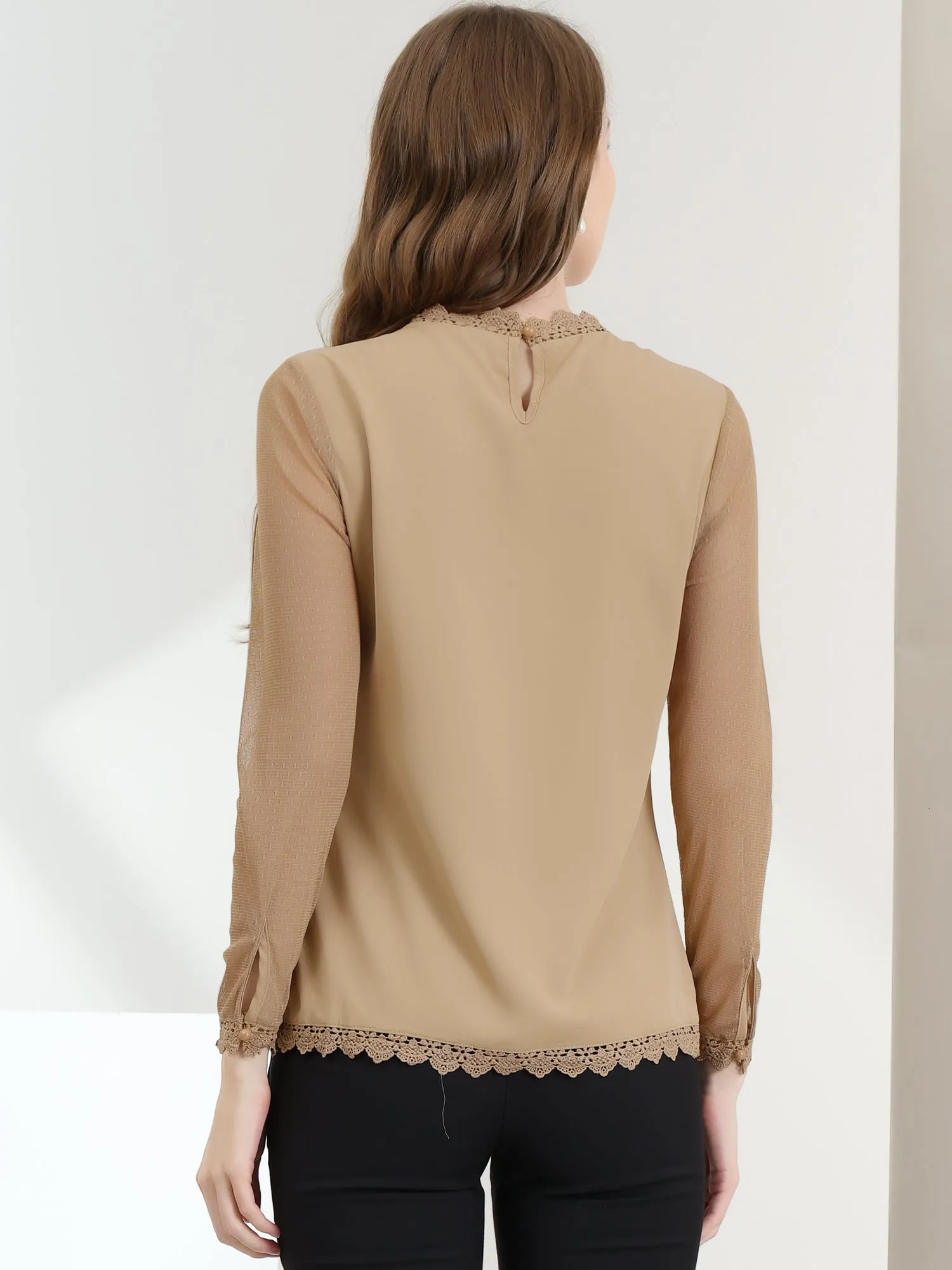 Lace Mesh Long Sleeve Round Neck Casual Elegant Blouse