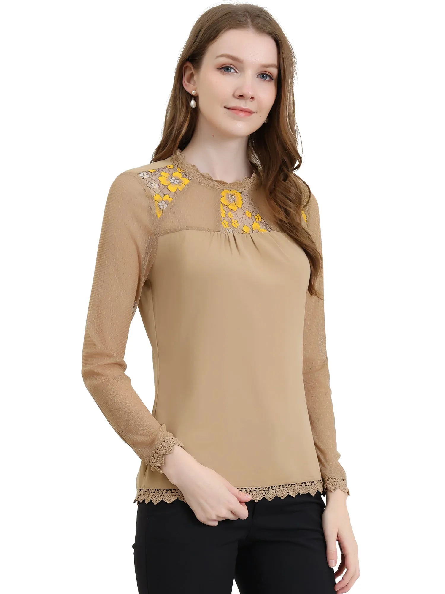 Lace Mesh Long Sleeve Round Neck Casual Elegant Blouse