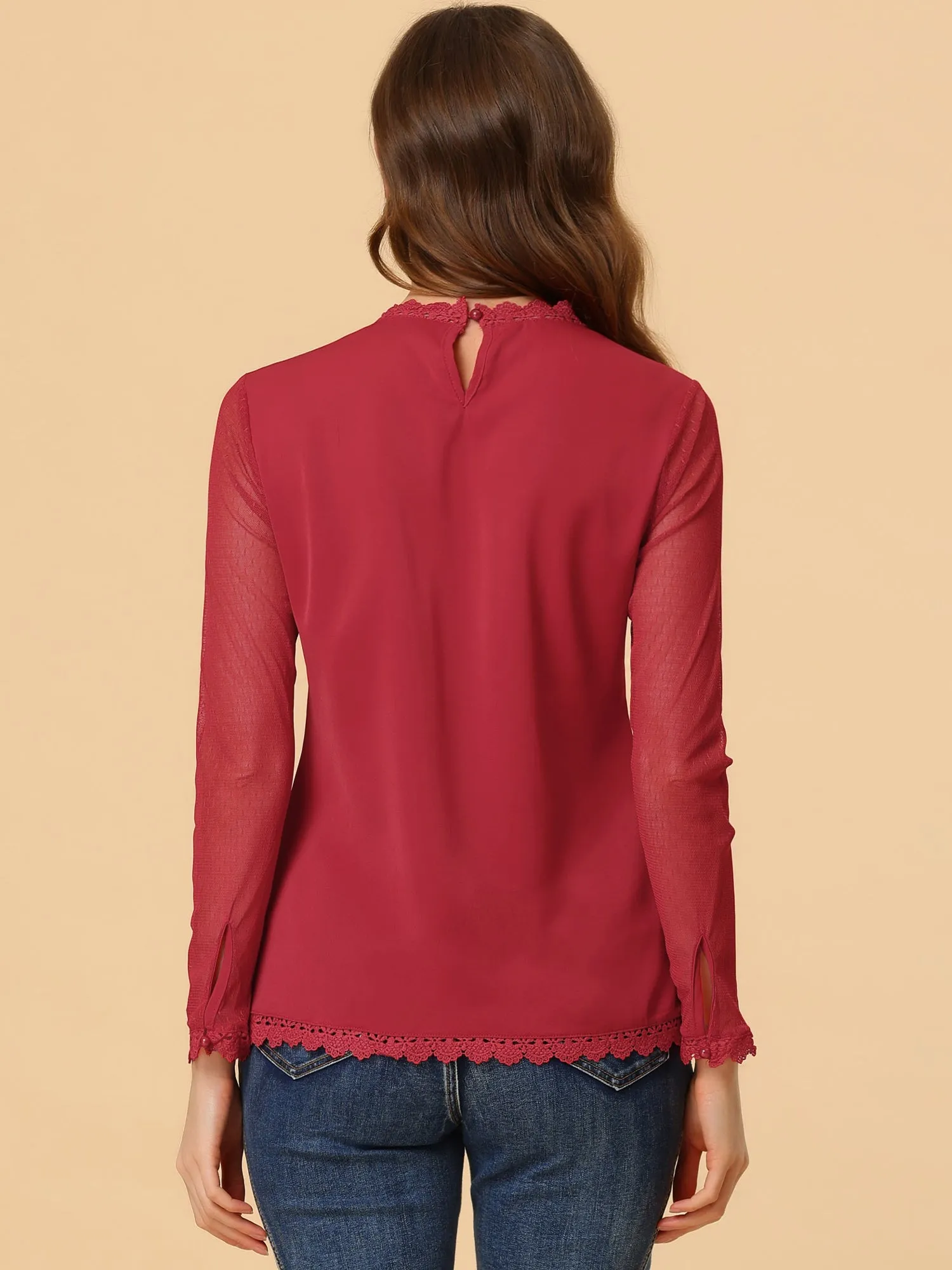 Lace Mesh Long Sleeve Round Neck Casual Elegant Blouse