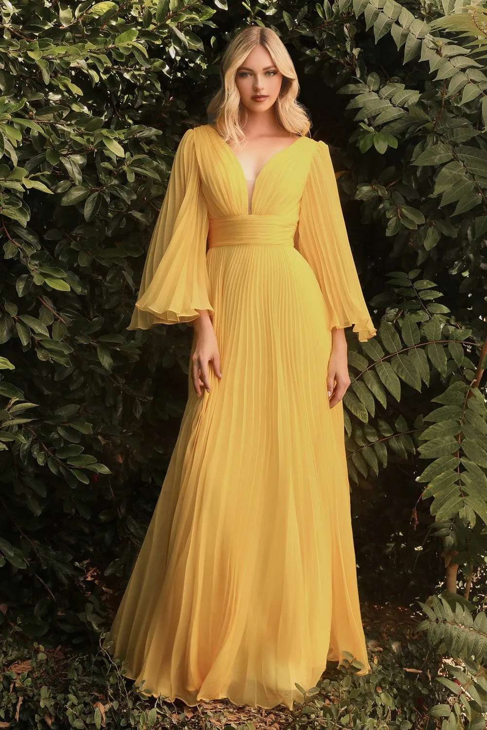Pleated Long Bell Sleeves Gown CD242